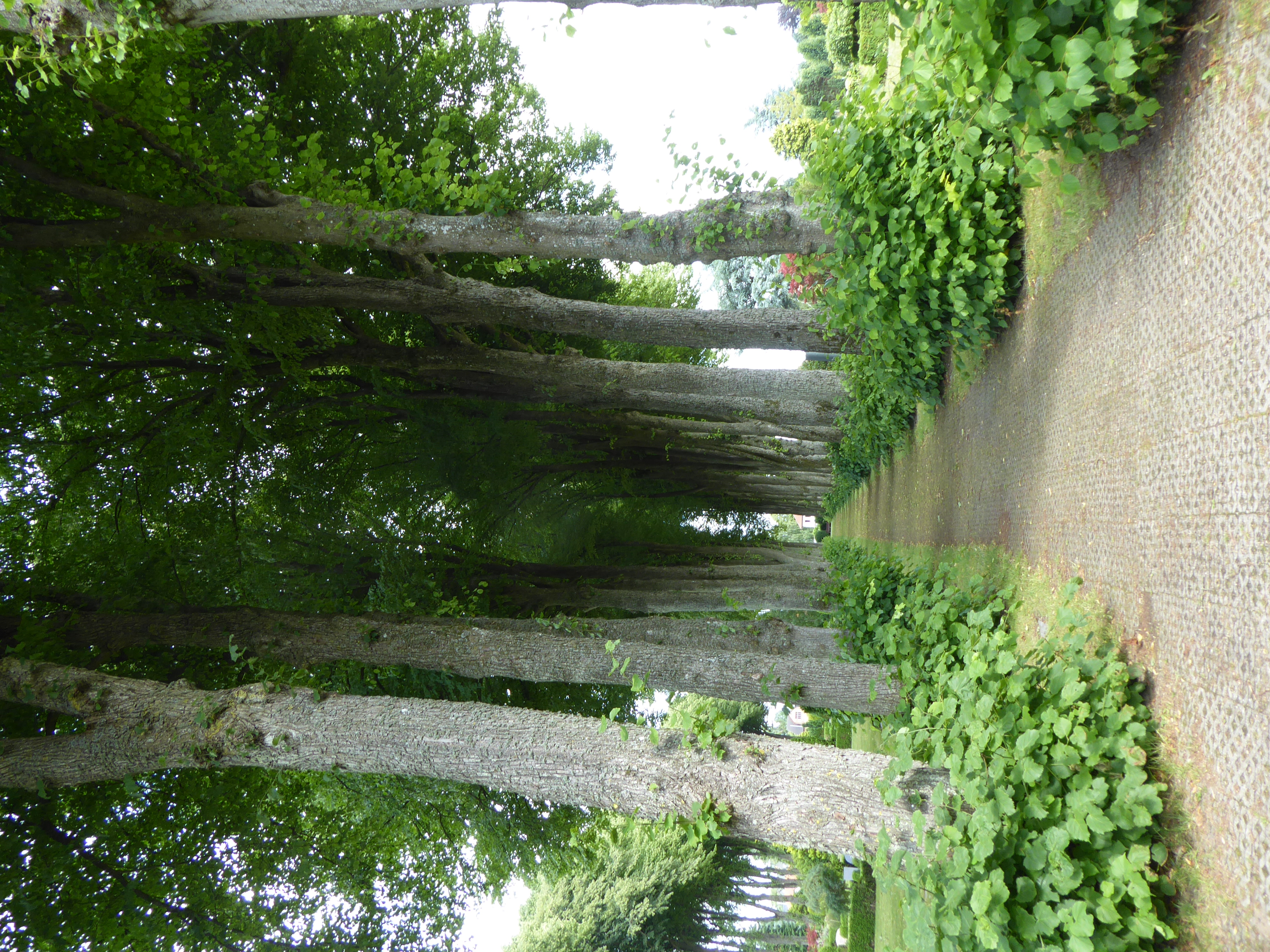 assistent-Haderslev (5)